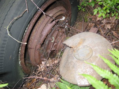 2004-5-den 101.jpg