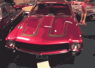 image5.gif