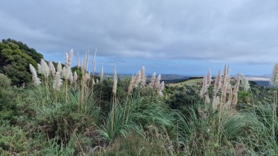 20240405_135319.jpg