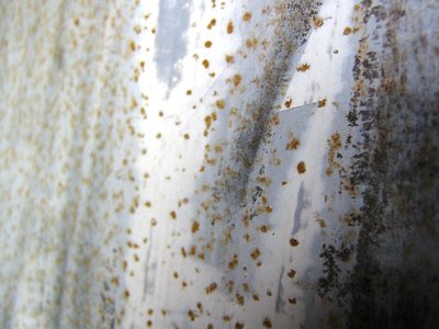 rust spots.JPG
