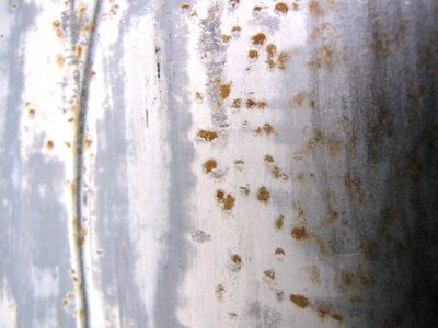 rust spots 2.JPG